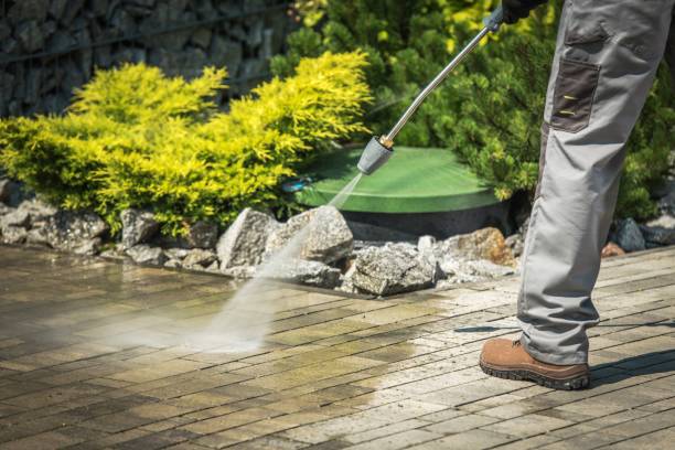 Best Playground Equipment Cleaning  in North Valley Stream, NY